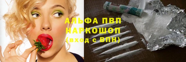 шишки Абинск