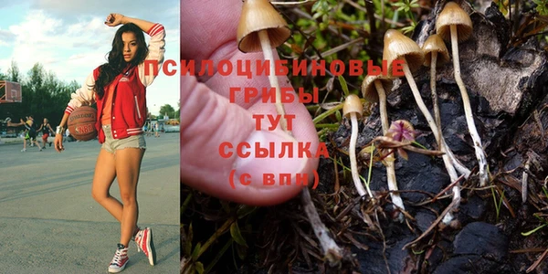 молекула духа Абаза