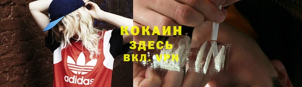шишки Абинск