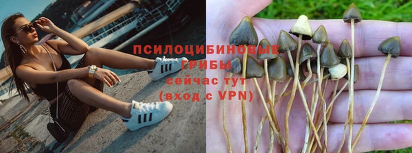 шишки Абинск